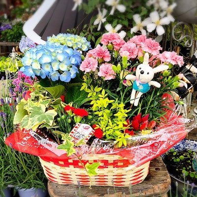 ぜひ!大切な人へ!【華やかな季節の寄せ鉢】