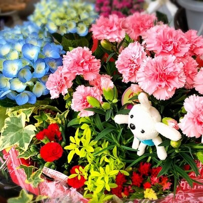 『チトのゆび』おまかせ〜世界にひとつだけ〜【一点モノの寄せ植え】