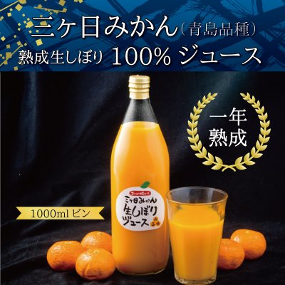 三ヶ日みかん(青島品種)熟成生しぼり100%ジュース 2本セット 1ℓビン