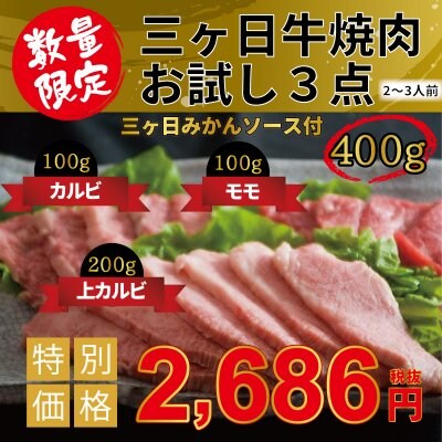 【5月までの限定】三ヶ日牛焼肉お試し3点400Gセット 三ヶ日みかんソース付き