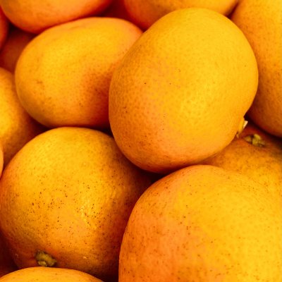 ミネラル豊富な皮まで食べられるみかん【無農薬三ケ日みかん 5kg】