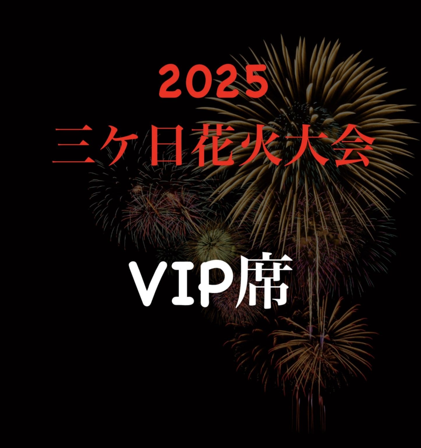 2025 三ケ日花火大会　VIPエリア席 