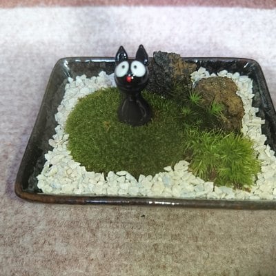 ④苔テラリウム 黒猫のいる庭園