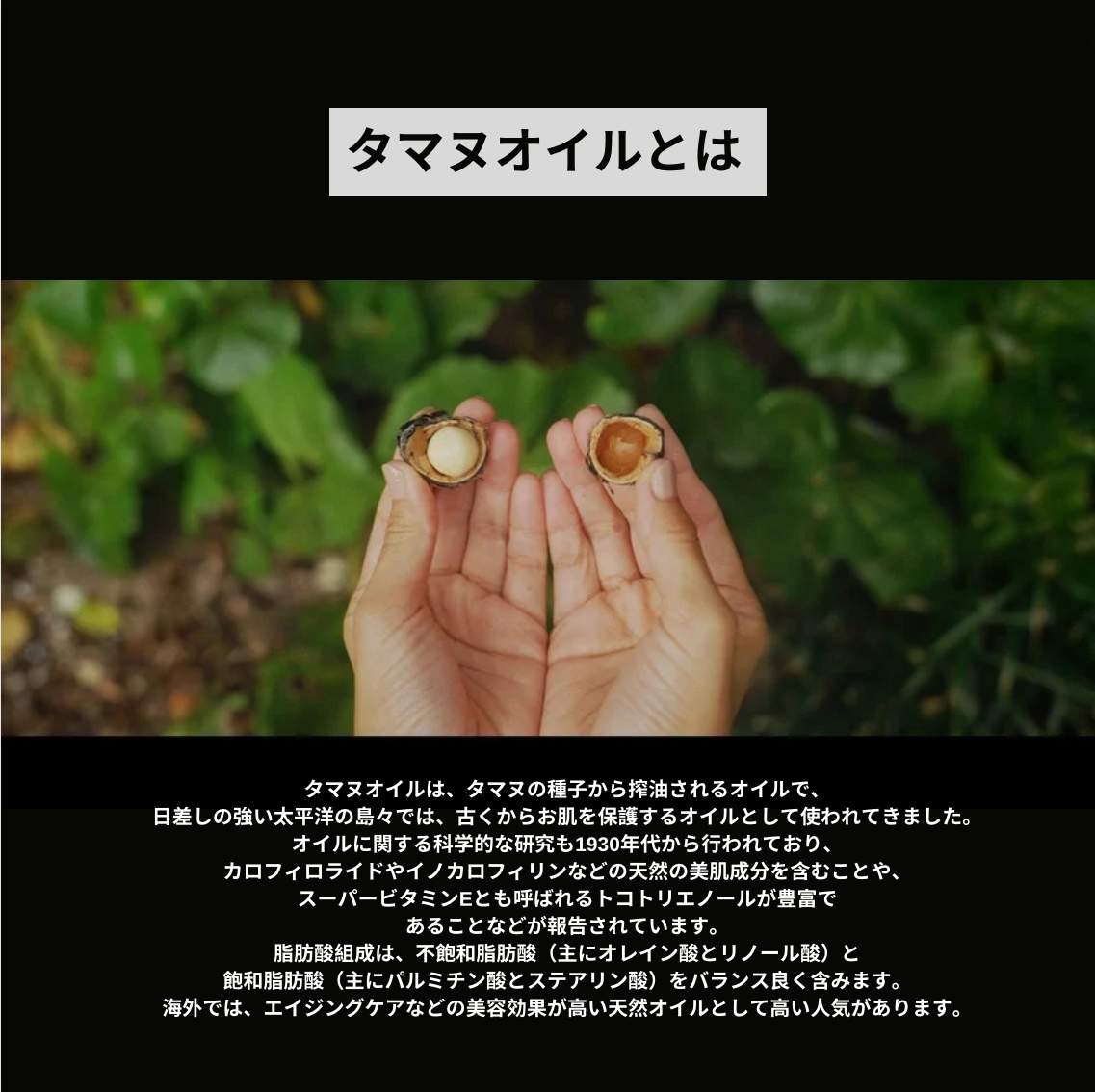JIAI._ タマヌオイルインクレイパック (沖縄県産クチャ)100g