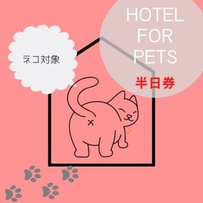 ペットホテル半日券 【ネコ専用】