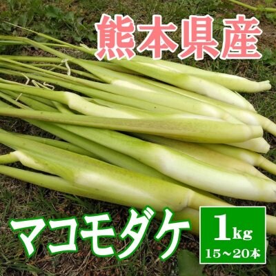 マコモダケ1㎏(15〜20本)熊本県産 産地直送 送料無料 無農薬 10月初旬から中旬まで発送予定 期間限定