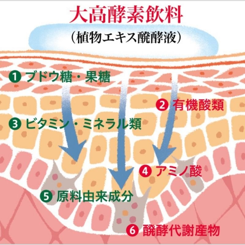 大高酵素【エンリッチスーパージェル】 ジェル状美容液５０g ３個