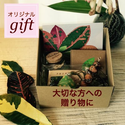 【オリジナルギフト/送料込】100%天然素材沖縄産月桃の恵み(麻炭入月桃お香(15g約30個)瓶入1個箱入1個/月桃の実サシェ/オリジナル絵葉書/乾燥月桃実)詰め合わせギフト