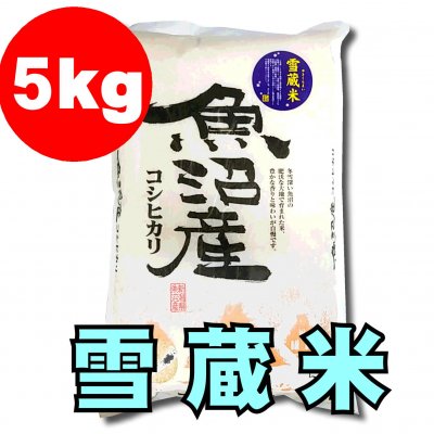 新潟魚沼|雪蔵米(精米)5kg（魚沼産コシヒカリ）/お米/越季（こしき）