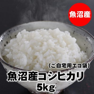 【訳あり少雪&コロナ在庫処分】5kg魚沼産コシヒカリ精米(エコ袋)|常温同梱可能