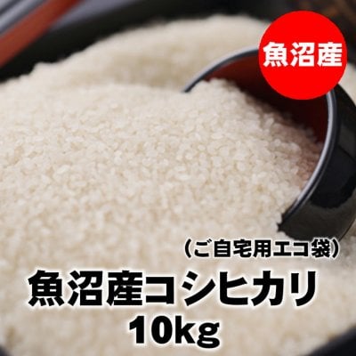【訳あり少雪&コロナ在庫処分】10kg魚沼産コシヒカリ精米(エコ袋)令和元年産|常温同梱可能