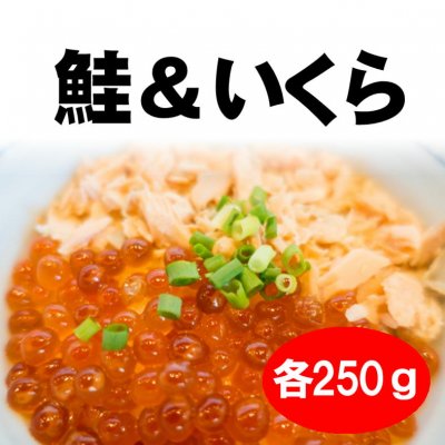 【お中元】鮭&いくら丼セット|KA306|