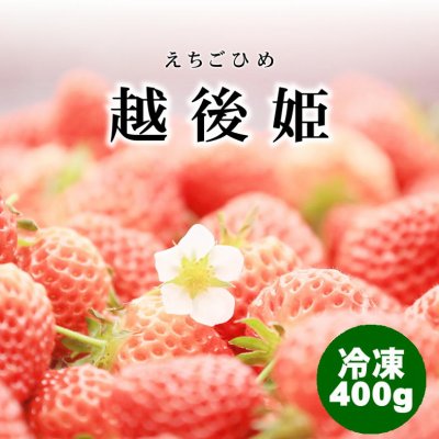 【訳あり・冷凍いちご】400g新潟・越後姫(えちごひめ)加工用/飲食店にオススメ/冷凍品同梱可