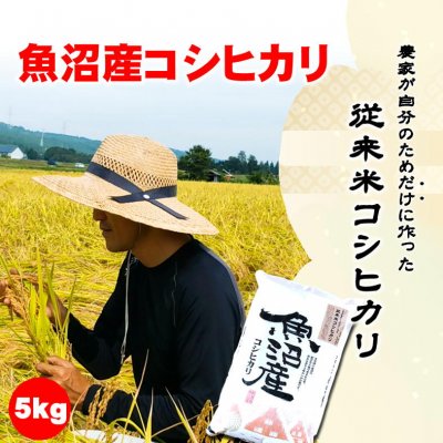 【令和2年産】食味スコア87/農家が自分のためだけに作る従来米新潟魚沼産こしひかり5kg/生産者:島田栄一/常温同梱可