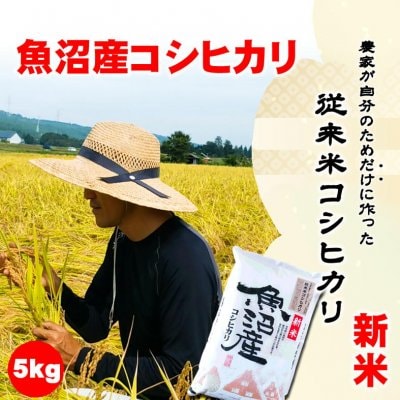 【令和2年産新米】食味スコア87/農家が自分のためだけに作る従来米魚沼産こしひかり5kg/生産者:島田栄一/常温同梱可