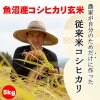 特集商品画像