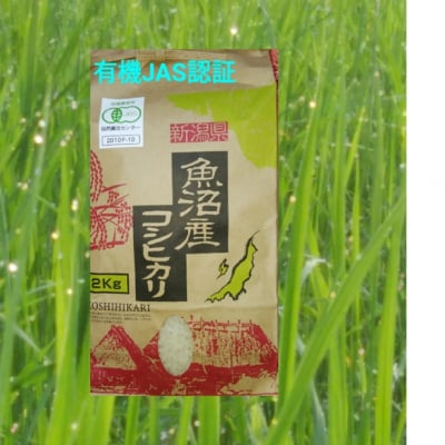 有機JAS認証魚沼産コシヒカリ4kg