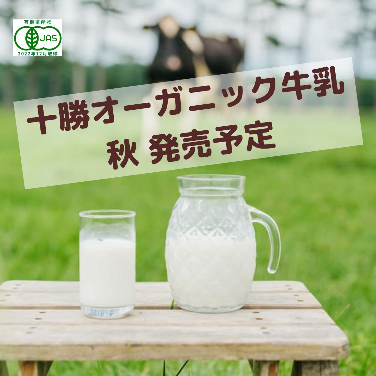 十勝オーガニック牛乳900ml　グラスフェッドミルク　北海道産有機牛乳　放牧・ノンホモ・低温殺菌