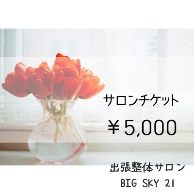 サロンチケット 5,000円