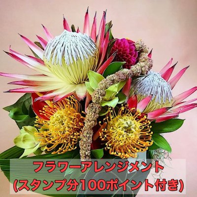 サンプル