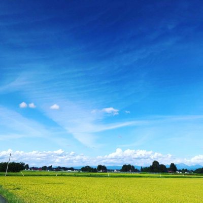 玄米2020岩手花巻産 ひとめぼれ 2kg