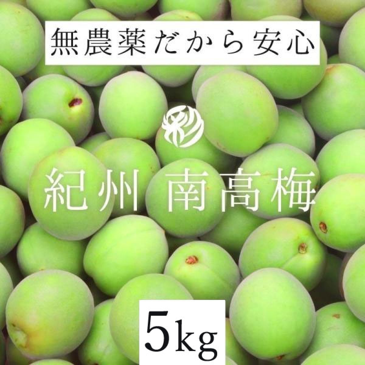 青梅 南高梅 無農薬 10Kgのお取り寄せ販売（通販）送料無料でお届け