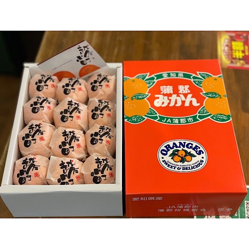 期間限定】愛知県蒲郡産 越冬小町 24個入り