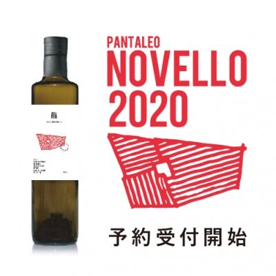 《予約商品・10月下旬発送》2020年新油オリーブオイル250ml Novello【パンタレオ・ノヴェッロ《トンダイブレア種》】
