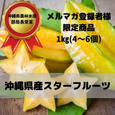 (1㎏)メルマガ登録者様限定商品すみちゃんおばぁの自慢のスターフルーツ