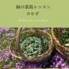 【オンライン＆教室】緑の薬箱レッスン〜ヨモギ