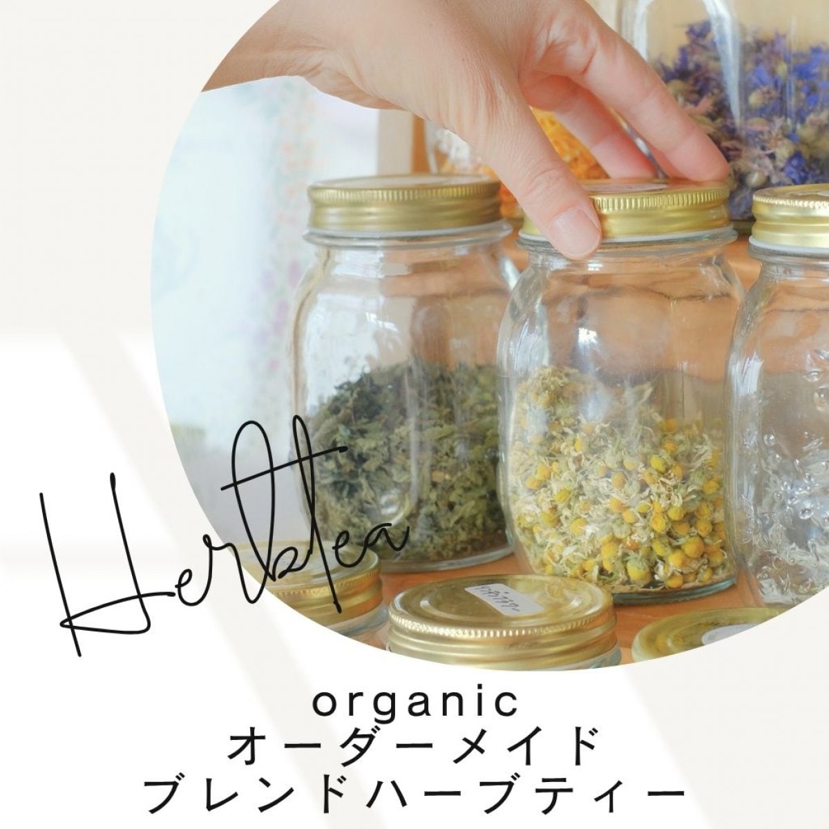 特集商品画像