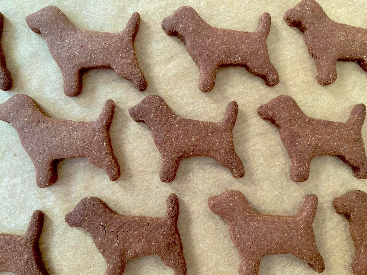 五感が満ちる日〜音、色、香り、味、触れる癒し