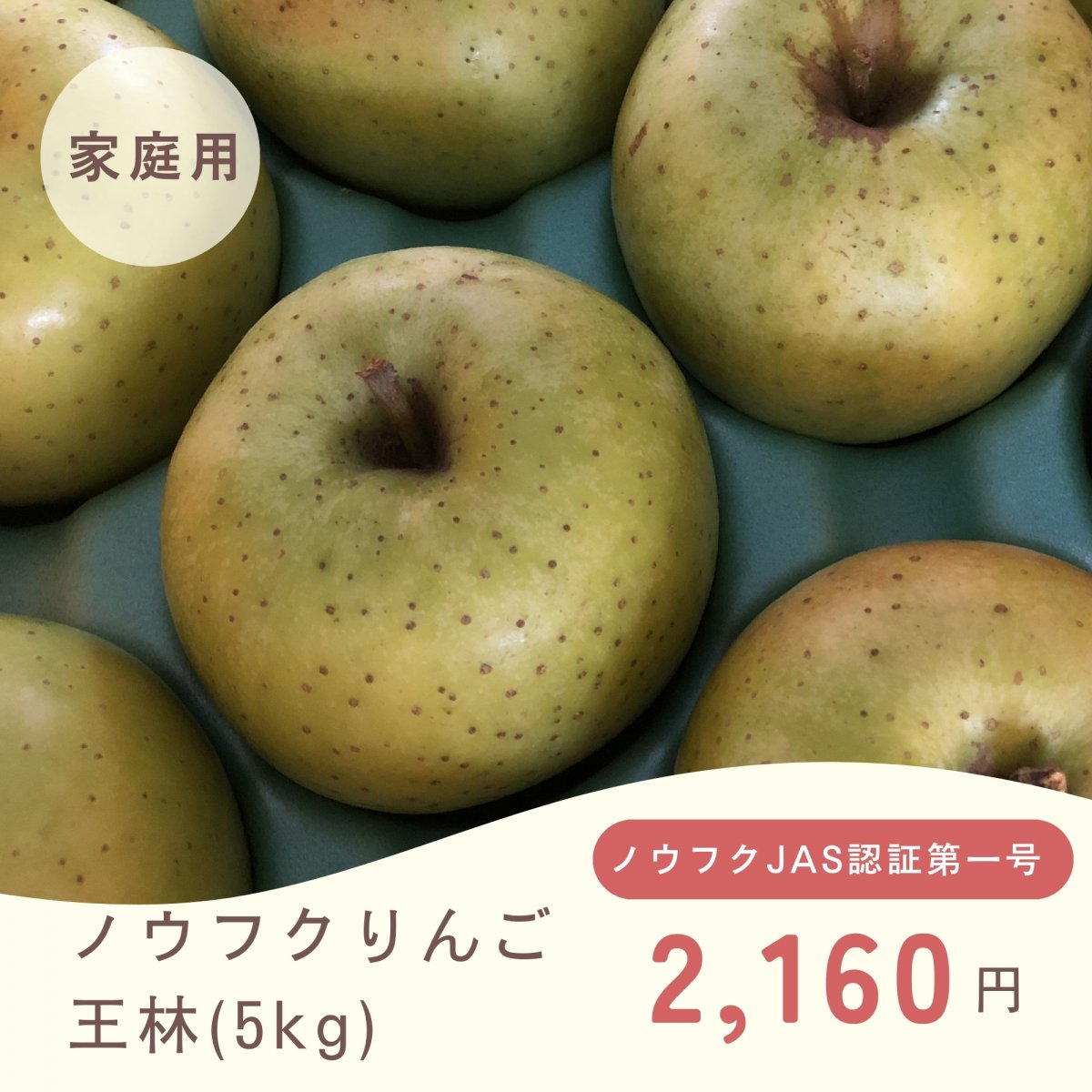 【ノウフクりんご】王林（家庭用）5Kg