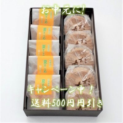お中元に!【夏のもなかセット】10個入り