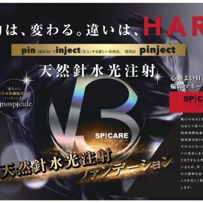 在庫あり 送料無料 高ポイント! V3ファンデーション リフィル