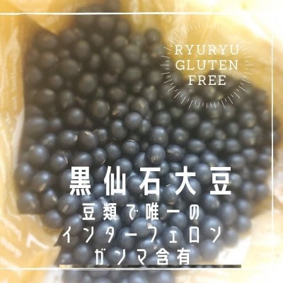 黒千石大豆300㌘ 奇跡のお豆 メール便にて送料無料