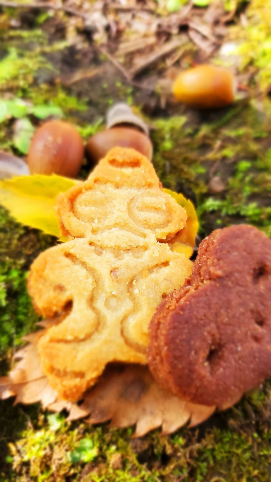 まちゼミ参加チケット　10時スタート🈵　14時スタートは本文からお願いします！