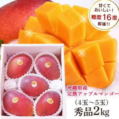 沖縄県産完熟アップルマンゴー 秀品2kg(4〜5玉入り)贈答用 お中元 ギフト