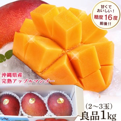 沖縄県産完熟アップルマンゴー 良品1kg(3〜4玉入り)家庭用 傷・色むらあり 大きさバラバラ