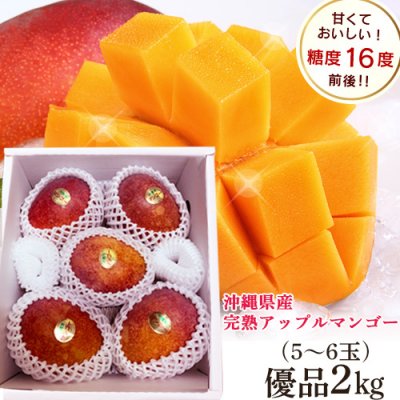 沖縄県産完熟アップルマンゴー 優品2kg(4〜5玉入り)身近な人への贈り物に! お中元 ギフト