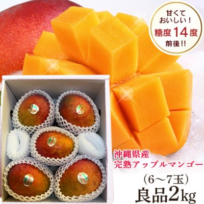 沖縄県産完熟アップルマンゴー 良品2kg(5〜6玉入り)傷・色むらあり 大きさバラバラ