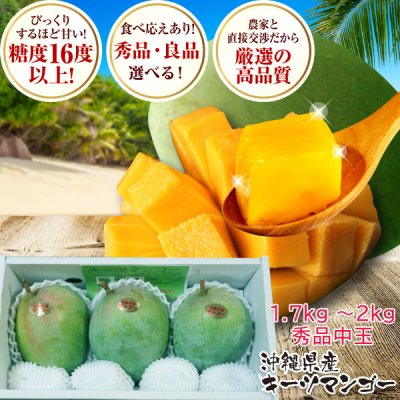 沖縄県産高級キーツマンゴー秀品 中玉( 1.7kg〜2kg) 3玉入り 贈答用 ギフト