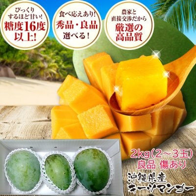 沖縄県産キーツマンゴー良品 ( 1.7kg〜2kg) 傷あり大きさバラバラ