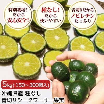 種なし 沖縄産 山原 青切りシークワーサー シークヮーサー 果実 A品 5kg (150〜300個入り) 特別栽培 農薬残留ほぼゼロ 沖縄県産 シークワーサー100%