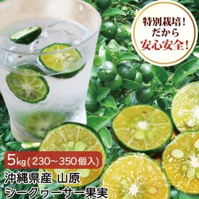 【種あり】 沖縄産 山原 青切りシークワーサー シークヮーサー 果実 訳あり5kg (150〜250個入り) 特別栽培 農薬残留ほぼゼロ 沖縄県産 シークワーサー100%