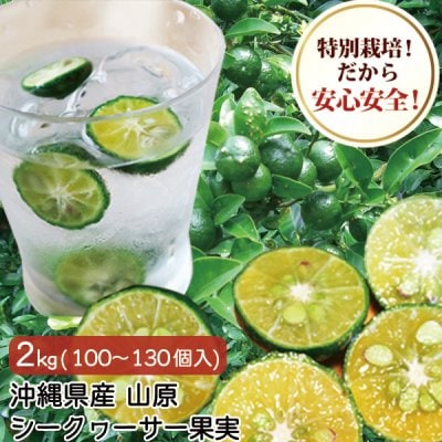 【種あり】 沖縄産 山原 青切りシークワーサー シークヮーサー 果実 訳あり 2kg (60〜100個入り) 特別栽培 農薬残留ほぼゼロ 沖縄県産 シークワーサー100%