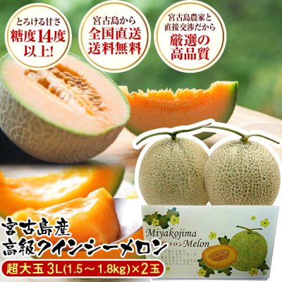 【今だけ25%OFF】南国冬メロン 糖度14度以上 宮古島 赤肉 クインシーメロン 大玉3L(1.5〜1.8kg)×2玉セット 赤肉メロン メロン