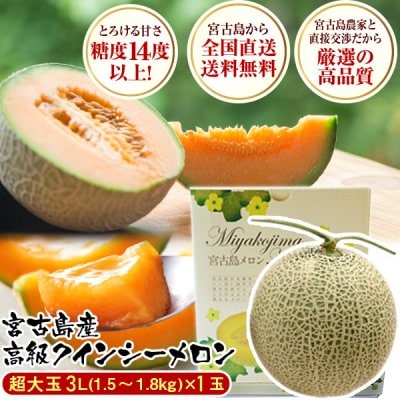 【今だけ17%OFF】南国冬メロン 糖度14度以上 宮古島 赤肉 クインシーメロン 大玉3L(1.5〜1.8kg)×1玉セット 赤肉メロン メロン