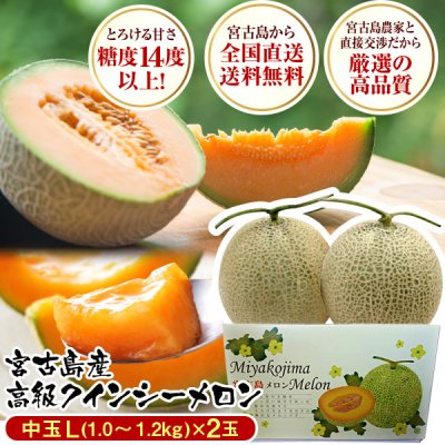 南国冬メロン 糖度14度以上 宮古島 赤肉 クインシーメロン 中玉L(1.0〜1.2kg)×2玉セット 赤肉メロン メロン