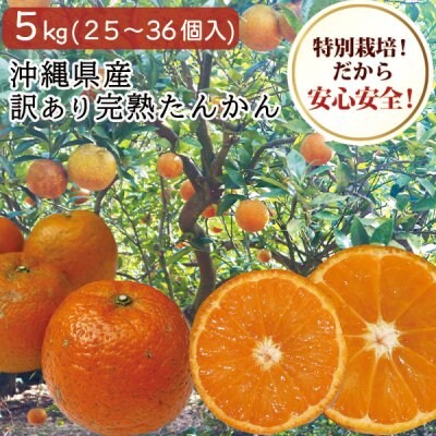 沖縄県産 訳あり 完熟たんかん 5㎏ 約25個〜36個入り 沖縄土産 沖縄みかん タンカン